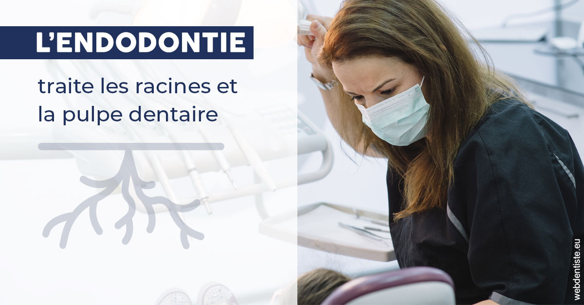 https://dr-patrice-gasser.chirurgiens-dentistes.fr/L'endodontie 1