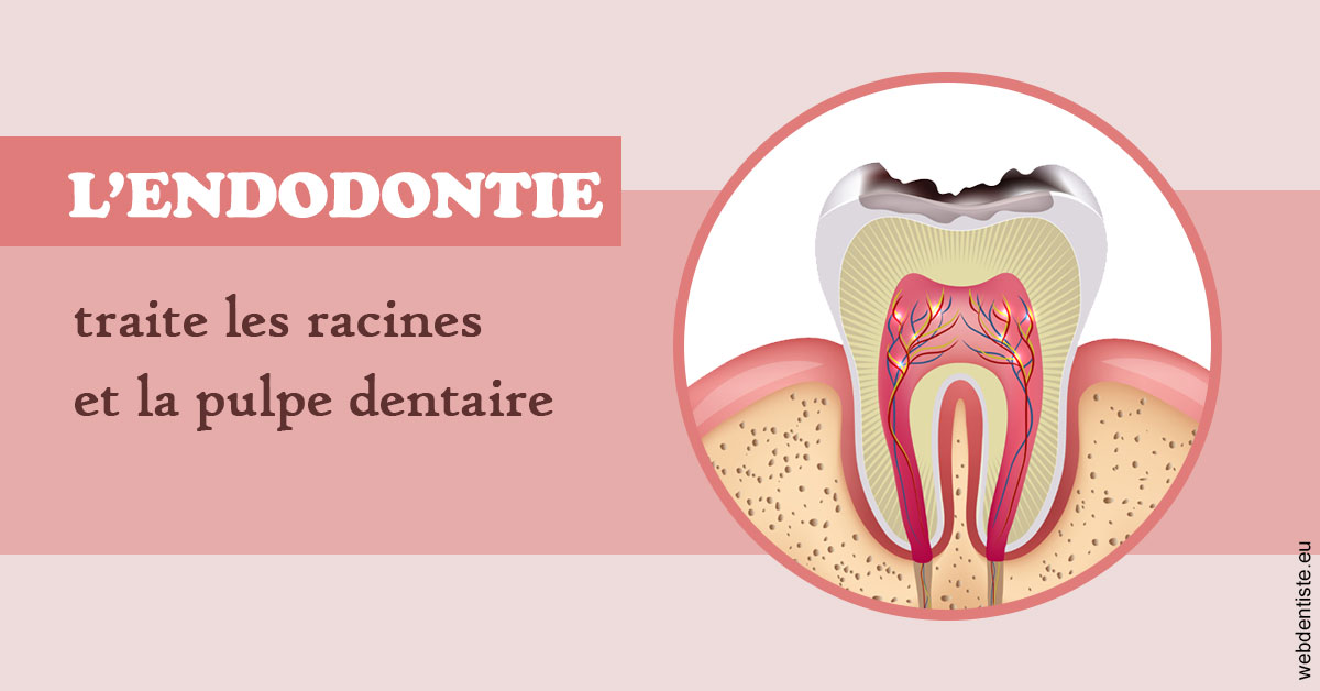 https://dr-patrice-gasser.chirurgiens-dentistes.fr/L'endodontie 2