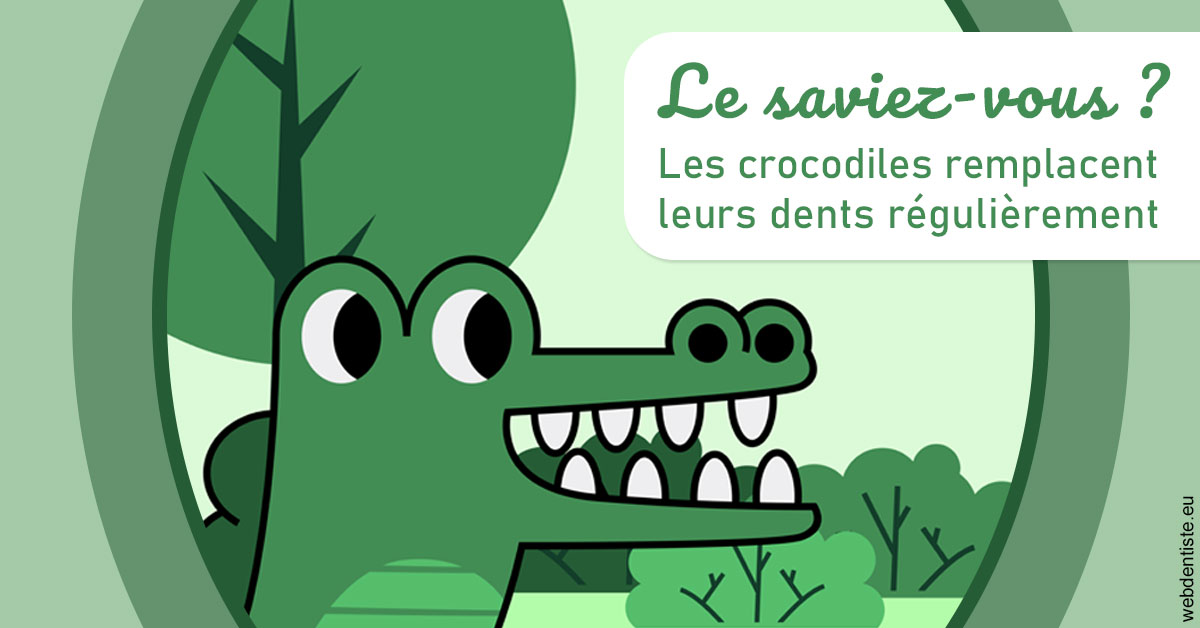 https://dr-patrice-gasser.chirurgiens-dentistes.fr/Crocodiles 2